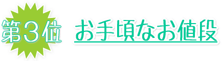 お手頃なお値段